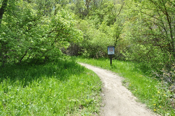 Ghost Falls Trail