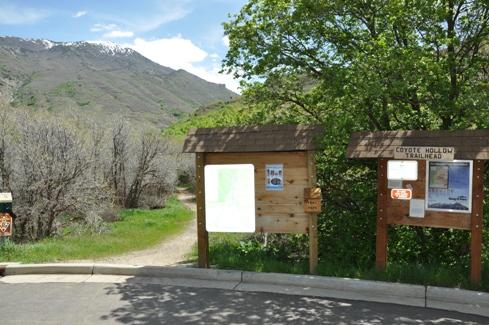 Coyote Hollow Trailhead