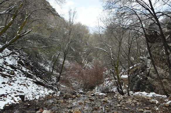 Rocky Mouth creek