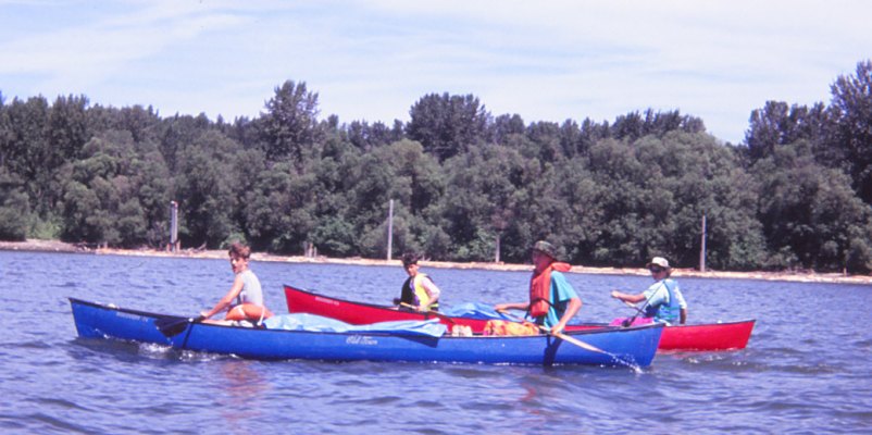 canoes