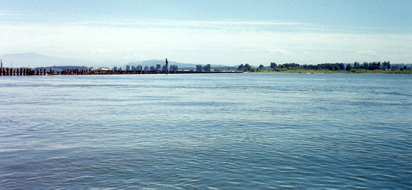 distant Mt. Hood