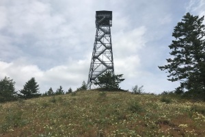 Gold Mountain