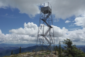 Grizzly Mountain