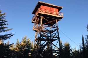 timber mountain