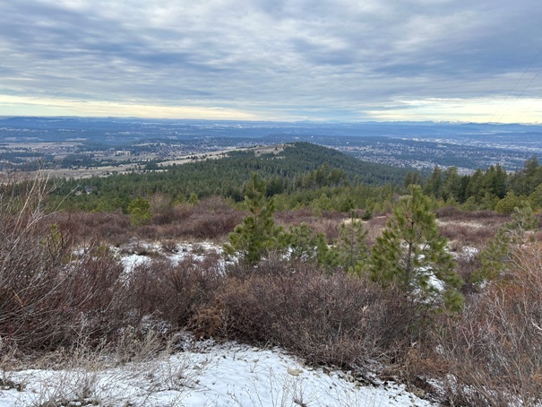 Tower Mountain