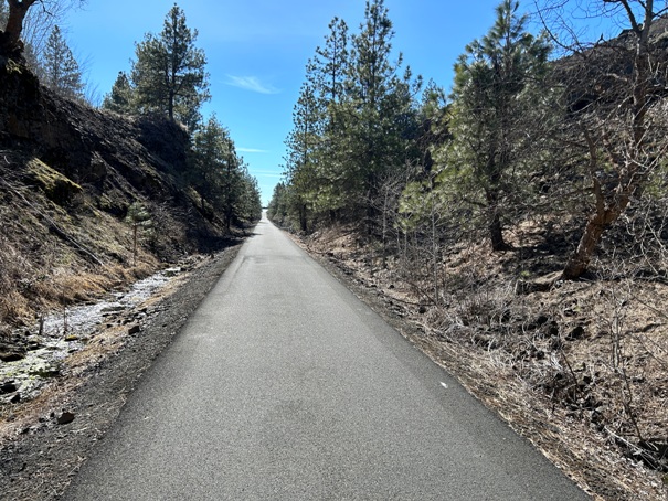 columbia plateau trail