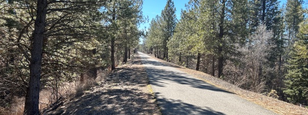 Trail near Fish Lake 