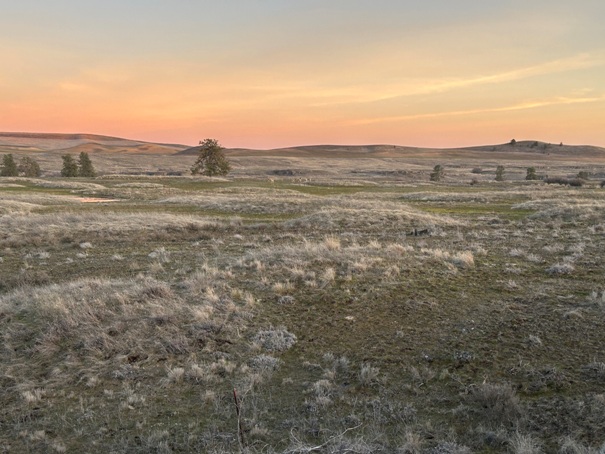 columbia plateau trail