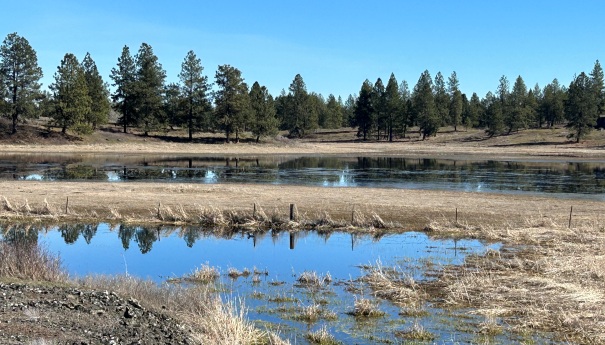 columbia plateau trail