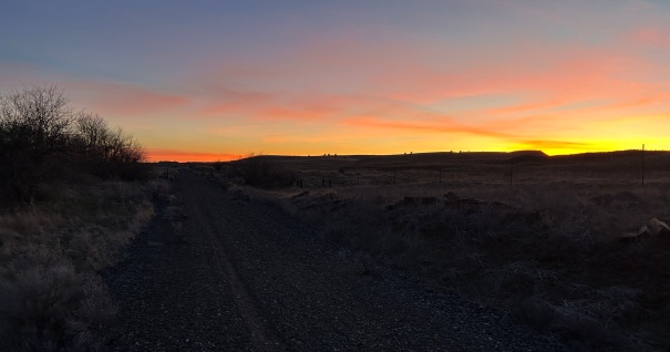 columbia plateau trail