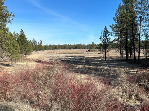 columbia plateau trail