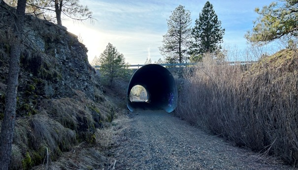 columbia plateau trail