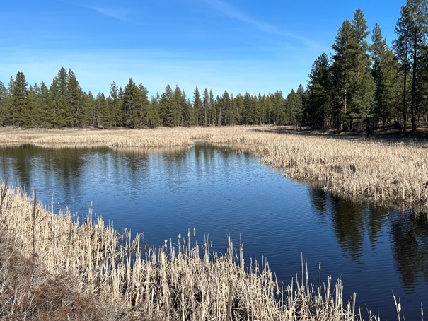 turnbull wildlife refuge