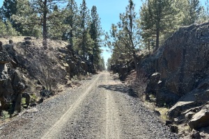 Martin Road Trailhead