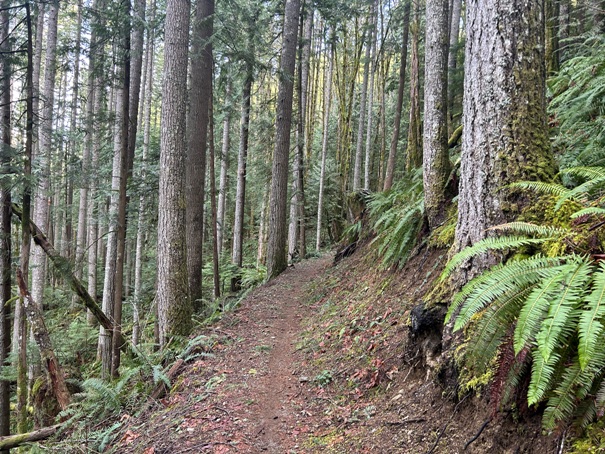 olallie trail 