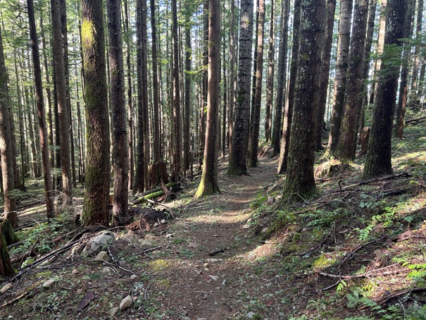 olallie trail 