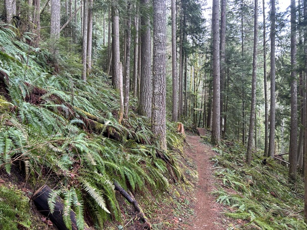 olallie trail 