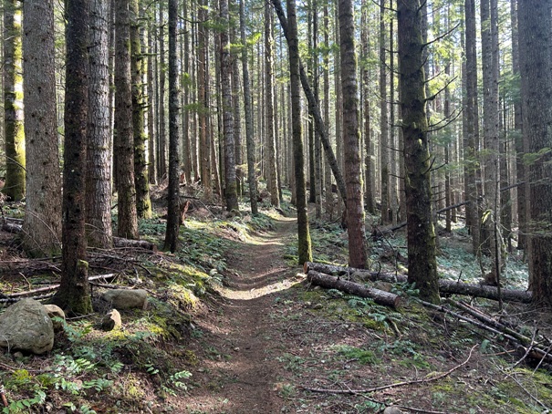 olallie trail 