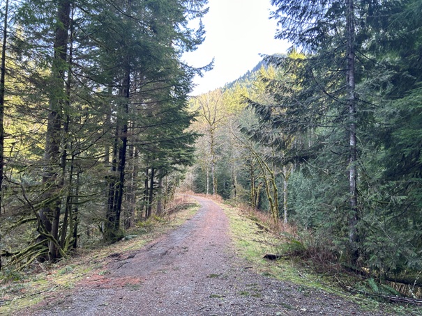 Palouse to Cascades State Park Trail