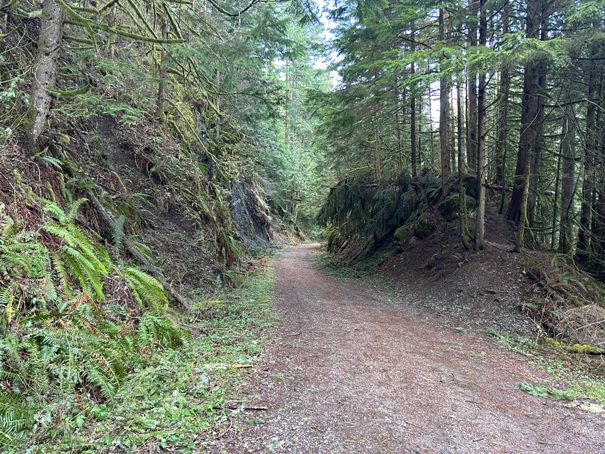 Palouse to Cascades State Park Trail