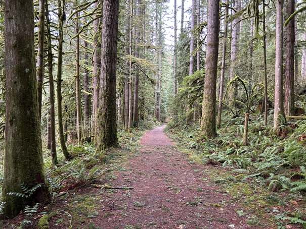 Railroad Grade Trail