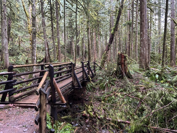 Wallace Falls State Park