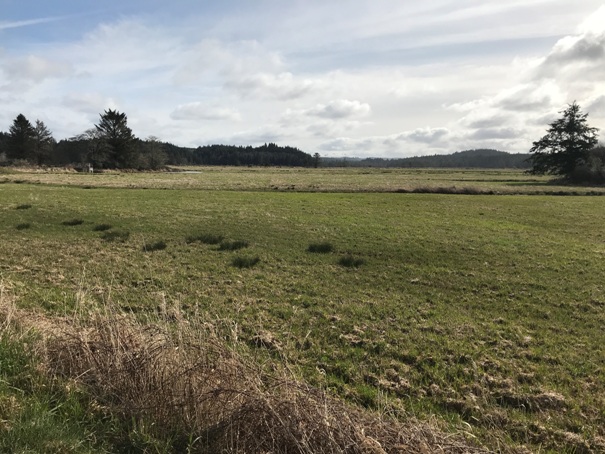 wildlife area