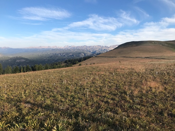 clay butte view