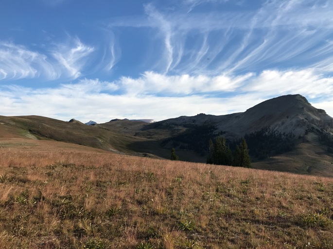 Beartooth Butte